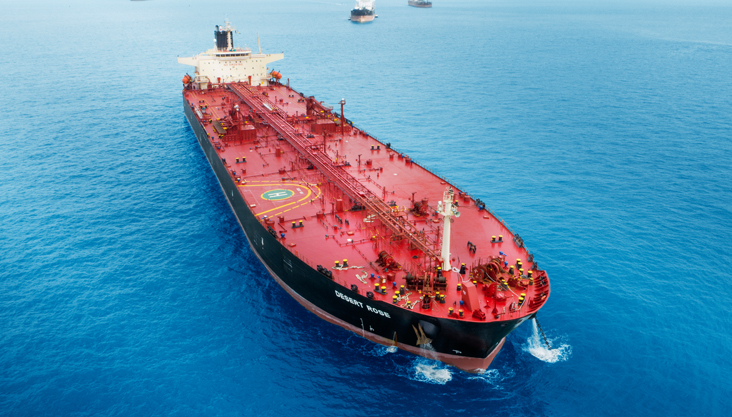 A Guide to Ship Surveys and Inspections – MARINE MIRROR